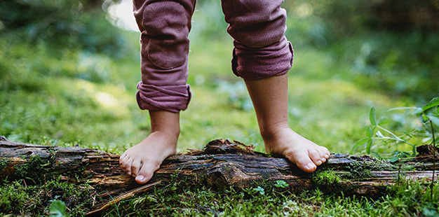 Kinderfüße stehen auf einem Baumstamm, Barfuß im Wald.