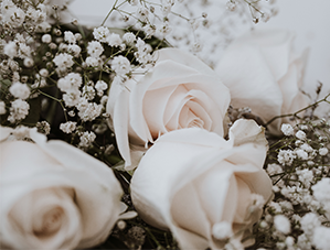 bele vrtnice in cvetje
